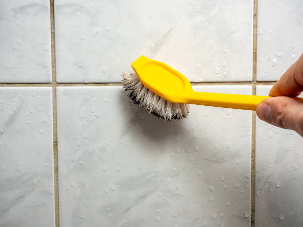Best Mold Removal Company Near Me  in Fircrest, WA