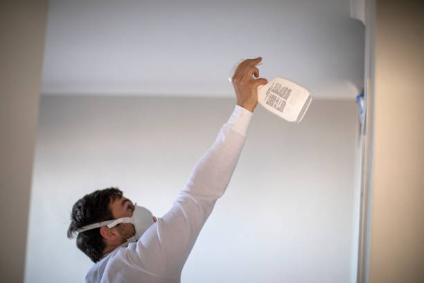 Mold Testing and Removal in Fircrest, WA